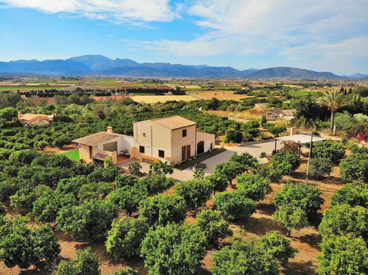 081 Finca Els Tarongers Etv5766 By Mallorca Charme Muro Kültér fotó