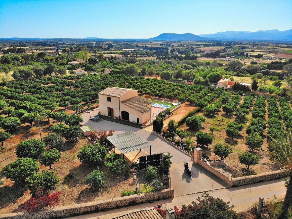 081 Finca Els Tarongers Etv5766 By Mallorca Charme Muro Kültér fotó